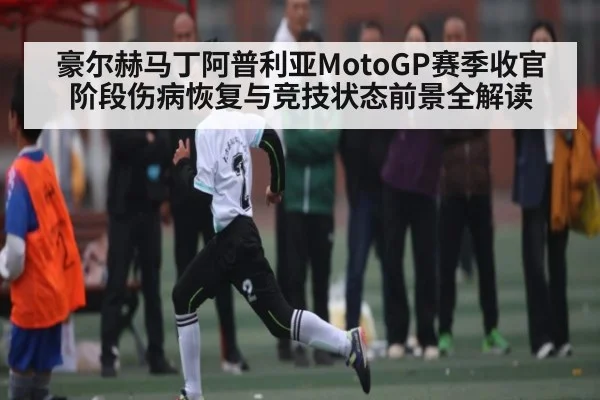 豪尔赫马丁阿普利亚MotoGP赛季收官阶段伤病恢复与竞技状态前景全解读